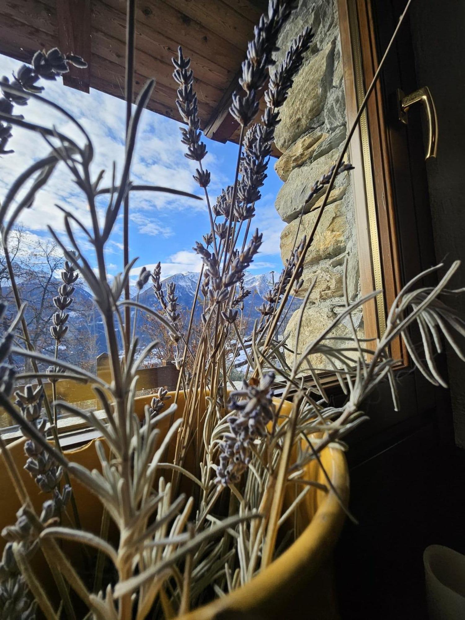 Relax Mountain La Salle Exterior foto